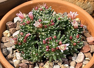 Нажмите на изображение для увеличения.

Название:	photo_2026-04-27_21-52-40.jpg
Просмотров:	45
Размер:	245.8 Кб
ID:	543827