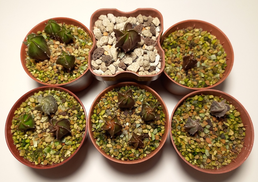 Нажмите на изображение для увеличения.

Название:	20260507_201821.jpg
Просмотров:	38
Размер:	233.3 Кб
ID:	543959
