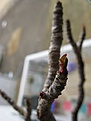 Нажмите на изображение для увеличения.

Название:	IMG_0978.JPG
Просмотров:	179
Размер:	46.1 Кб
ID:	305687