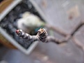 Нажмите на изображение для увеличения.

Название:	IMG_0870.JPG
Просмотров:	171
Размер:	44.1 Кб
ID:	305688