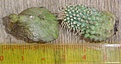 Нажмите на изображение для увеличения.

Название:	PICT0006.JPG
Просмотров:	482
Размер:	140.4 Кб
ID:	305815