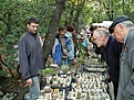 Нажмите на изображение для увеличения.

Название:	PICT0115.JPG
Просмотров:	255
Размер:	191.8 Кб
ID:	305910