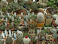 Нажмите на изображение для увеличения.

Название:	PICT0104.JPG
Просмотров:	256
Размер:	202.0 Кб
ID:	305916
