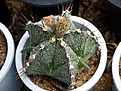 Нажмите на изображение для увеличения.

Название:	IMG_3685.jpg
Просмотров:	638
Размер:	76.8 Кб
ID:	306064