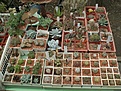 Нажмите на изображение для увеличения.

Название:	PICT0077.JPG
Просмотров:	176
Размер:	193.1 Кб
ID:	306512