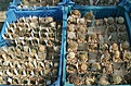 Нажмите на изображение для увеличения.

Название:	PICT0089.JPG
Просмотров:	180
Размер:	186.8 Кб
ID:	306516