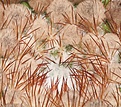 Нажмите на изображение для увеличения.

Название:	Noto-buds.jpg
Просмотров:	179
Размер:	87.5 Кб
ID:	306573