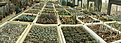 DSCF8615-7.jpg
