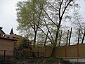 Нажмите на изображение для увеличения.

Название:	ResizeofDSC03432.JPG
Просмотров:	167
Размер:	82.4 Кб
ID:	306755