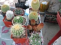 Нажмите на изображение для увеличения.

Название:	IMG_4106.jpg
Просмотров:	190
Размер:	199.6 Кб
ID:	307895