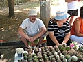 Нажмите на изображение для увеличения.

Название:	IMG_4124.jpg
Просмотров:	181
Размер:	198.8 Кб
ID:	307912