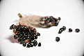 Нажмите на изображение для увеличения.

Название:	Frailea_chiquitana_seeds.03.jpg
Просмотров:	345
Размер:	68.3 Кб
ID:	308277
