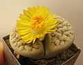 Нажмите на изображение для увеличения.

Название:	IMG_9292.JPG
Просмотров:	479
Размер:	85.8 Кб
ID:	308352
