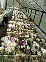 Нажмите на изображение для увеличения.

Название:	12102009059.jpg
Просмотров:	339
Размер:	152.2 Кб
ID:	308936