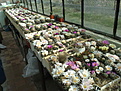 Нажмите на изображение для увеличения.

Название:	12102009060.jpg
Просмотров:	332
Размер:	127.7 Кб
ID:	308937