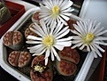 Нажмите на изображение для увеличения.

Название:	IMG_9620.JPG
Просмотров:	436
Размер:	87.6 Кб
ID:	309313