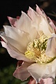 Нажмите на изображение для увеличения.

Название:	IMG_0178.jpg
Просмотров:	180
Размер:	47.3 Кб
ID:	309590