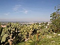 Нажмите на изображение для увеличения.

Название:	TecomashalcoPuebla.jpg
Просмотров:	135
Размер:	107.8 Кб
ID:	309887