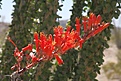 Нажмите на изображение для увеличения.

Название:	IMG_6333.jpg
Просмотров:	167
Размер:	63.1 Кб
ID:	310199