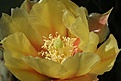 Нажмите на изображение для увеличения.

Название:	IMG_6762.jpg
Просмотров:	154
Размер:	45.7 Кб
ID:	310255