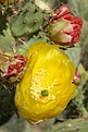 Нажмите на изображение для увеличения.

Название:	IMG_6751.jpg
Просмотров:	156
Размер:	64.6 Кб
ID:	310272
