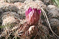 Нажмите на изображение для увеличения.

Название:	IMG_7434.jpg
Просмотров:	155
Размер:	135.6 Кб
ID:	310324