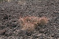 Нажмите на изображение для увеличения.

Название:	IMG_7463.jpg
Просмотров:	190
Размер:	180.3 Кб
ID:	310338