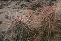 Нажмите на изображение для увеличения.

Название:	IMG_7467.jpg
Просмотров:	180
Размер:	179.2 Кб
ID:	310339