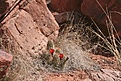 Нажмите на изображение для увеличения.

Название:	IMG_7582.jpg
Просмотров:	174
Размер:	225.5 Кб
ID:	310368
