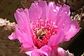 Нажмите на изображение для увеличения.

Название:	IMG_7675.jpg
Просмотров:	159
Размер:	91.2 Кб
ID:	310408