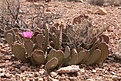 Нажмите на изображение для увеличения.

Название:	IMG_7679.jpg
Просмотров:	159
Размер:	193.9 Кб
ID:	310409