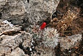 Нажмите на изображение для увеличения.

Название:	IMG_7916.jpg
Просмотров:	168
Размер:	145.7 Кб
ID:	310500
