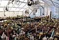 Нажмите на изображение для увеличения.

Название:	greenhousein3.jpg
Просмотров:	179
Размер:	130.7 Кб
ID:	310569