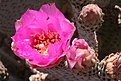 Нажмите на изображение для увеличения.

Название:	IMG_6091.jpg
Просмотров:	151
Размер:	87.9 Кб
ID:	310706