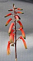 Нажмите на изображение для увеличения.

Название:	Aloe_isaloensis_IMG_2091.jpg
Просмотров:	238
Размер:	48.3 Кб
ID:	310769