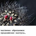 Нажмите на изображение для увеличения.

Название:	_3.1.jpg
Просмотров:	149
Размер:	70.1 Кб
ID:	310791