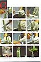 Нажмите на изображение для увеличения.

Название:	flat-graft00.jpg
Просмотров:	201
Размер:	200.5 Кб
ID:	310981