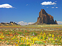 Нажмите на изображение для увеличения.

Название:	Spring-in-New-Mexico.jpg
Просмотров:	189
Размер:	220.1 Кб
ID:	311014