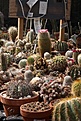 Нажмите на изображение для увеличения.

Название:	IMG_0849.jpg
Просмотров:	292
Размер:	124.1 Кб
ID:	311082