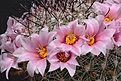 Нажмите на изображение для увеличения.

Название:	IMG_0925.jpg
Просмотров:	204
Размер:	91.4 Кб
ID:	311138