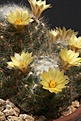 Нажмите на изображение для увеличения.

Название:	IMG_0902.jpg
Просмотров:	204
Размер:	81.7 Кб
ID:	311140