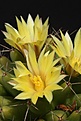 Нажмите на изображение для увеличения.

Название:	IMG_0916.jpg
Просмотров:	196
Размер:	52.2 Кб
ID:	311158