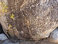 Нажмите на изображение для увеличения.

Название:	Seedlingficus.jpg
Просмотров:	159
Размер:	183.3 Кб
ID:	311212