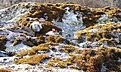 Нажмите на изображение для увеличения.

Название:	image000401.jpg
Просмотров:	169
Размер:	49.5 Кб
ID:	311263