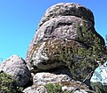 Нажмите на изображение для увеличения.

Название:	image000406.jpg
Просмотров:	164
Размер:	40.5 Кб
ID:	311268