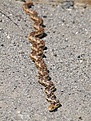 Нажмите на изображение для увеличения.

Название:	snake.jpg
Просмотров:	139
Размер:	82.7 Кб
ID:	311477