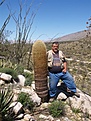 Нажмите на изображение для увеличения.

Название:	Ferocactusviridescens4.jpg
Просмотров:	127
Размер:	81.1 Кб
ID:	311494