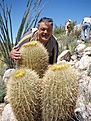 Нажмите на изображение для увеличения.

Название:	Ferocactusviridescens4.jpg
Просмотров:	125
Размер:	87.5 Кб
ID:	311495