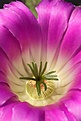 Нажмите на изображение для увеличения.

Название:	IMG_1247.jpg
Просмотров:	198
Размер:	57.2 Кб
ID:	311558