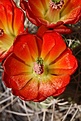 Нажмите на изображение для увеличения.

Название:	IMG_1229.jpg
Просмотров:	195
Размер:	71.9 Кб
ID:	311577
